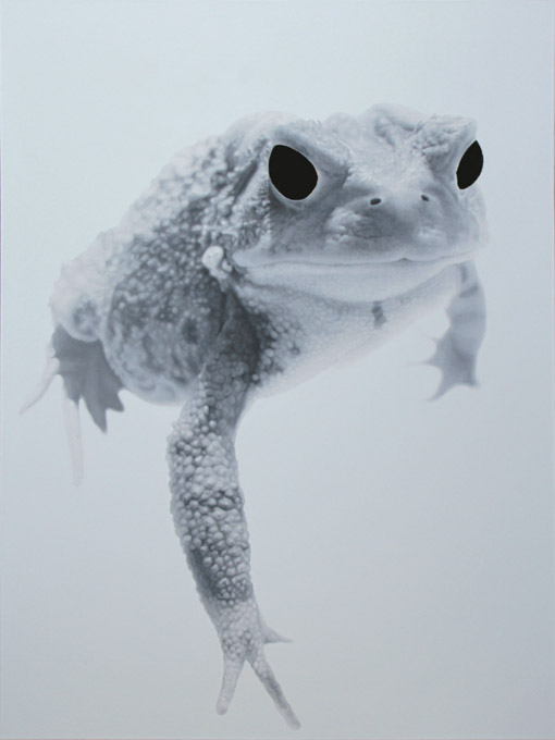 Toad (Bardo Fudo Acala), 2010